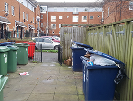 Wheelie bins in residential bin area