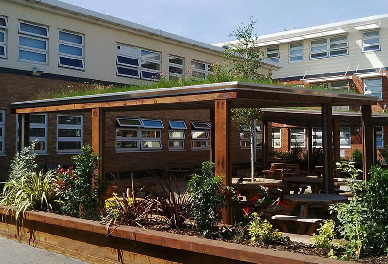 Green Roof Canopy