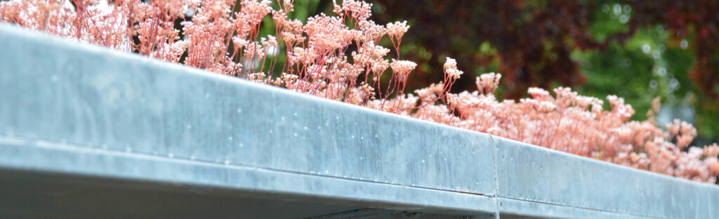 Green roof bin store on new build housing development