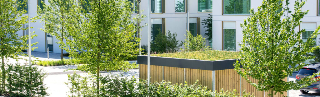 Sedum based green roof