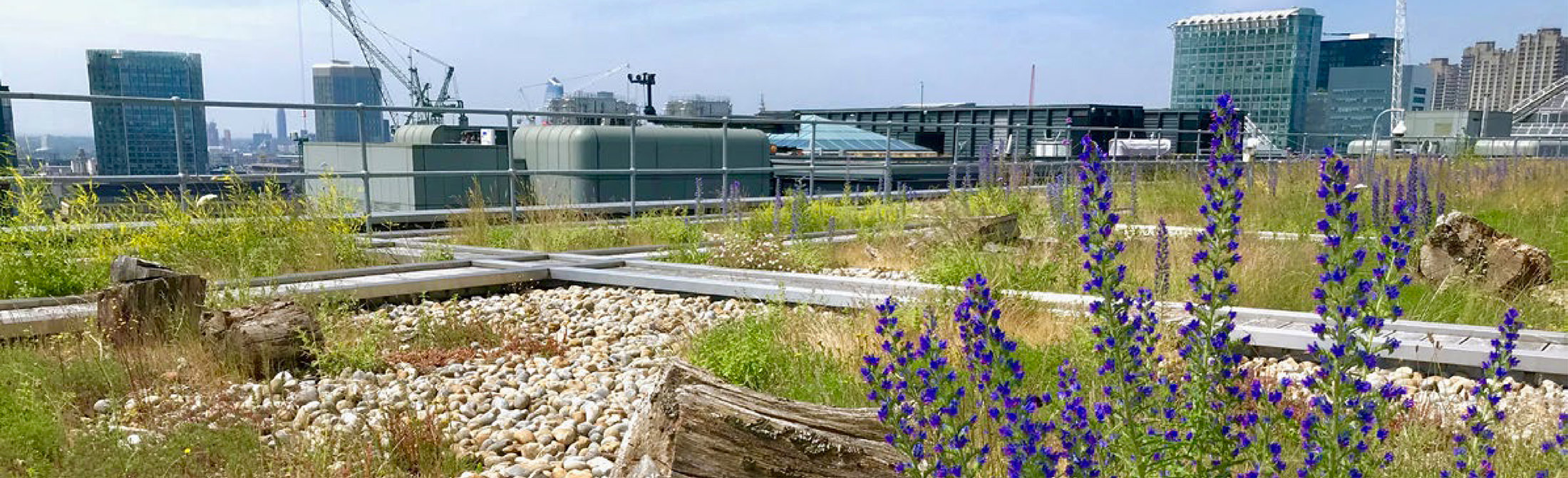 Biodiversity Habitat