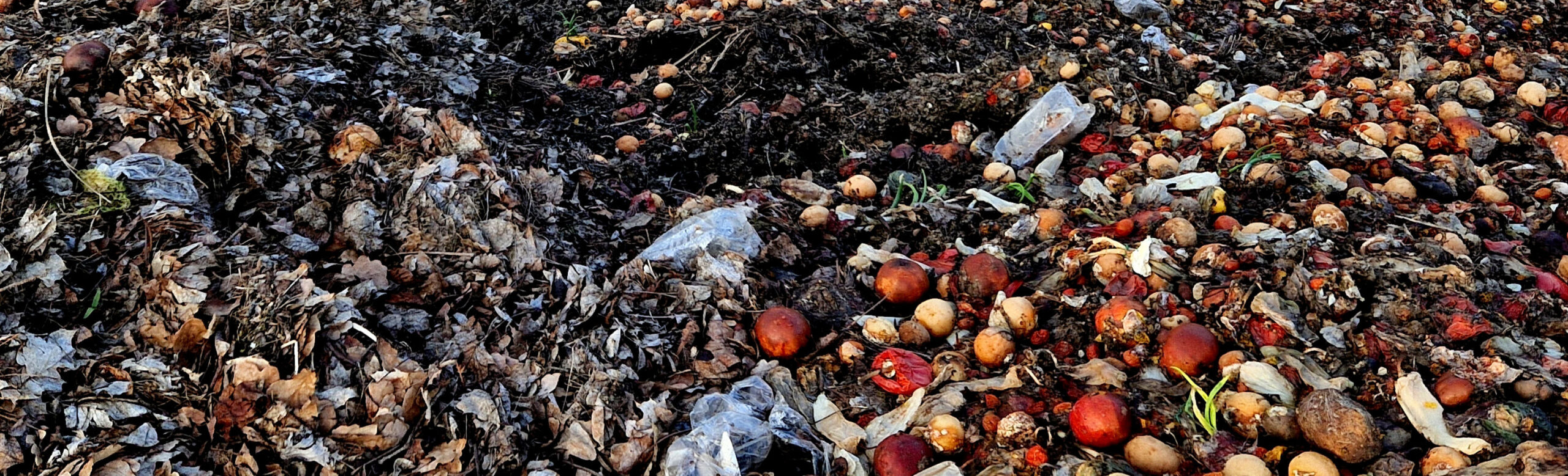 Food waste