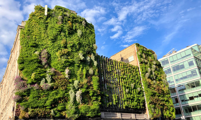 Lessons from the Greenest Buildings for Sustainable Infrastructure
