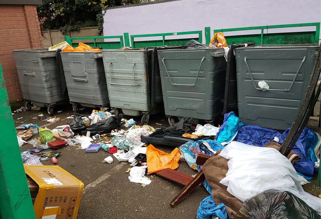 Dumped household waste
